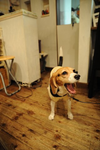DSC_8218.jpg