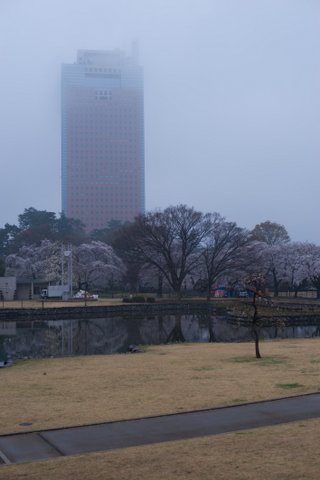 _DSC9242-001.jpg