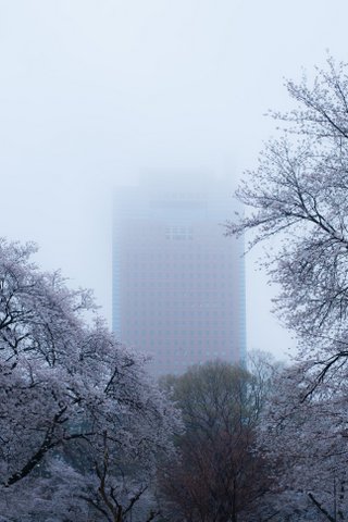 _DSC9247-001.jpg