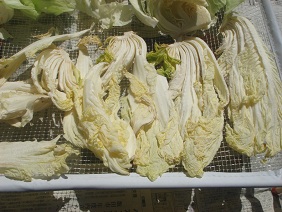 120809日常2