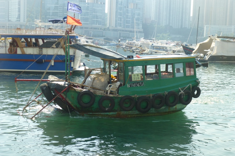 P1010741.jpg