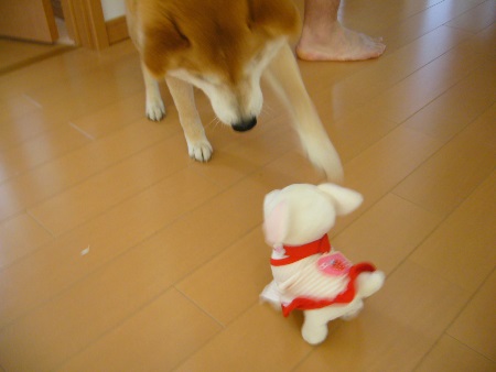 P1110284no2.jpg