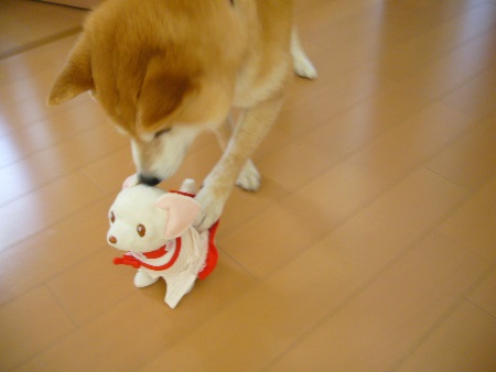 P1110285no2.jpg