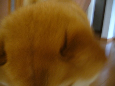 P1110289no2.jpg