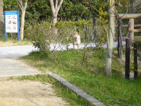 P1110315no2.jpg
