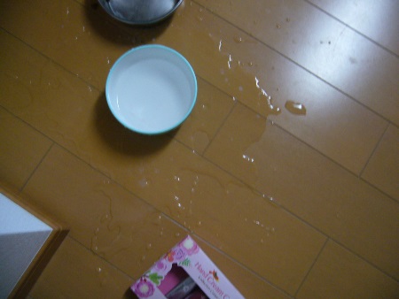 P1110380no2.jpg