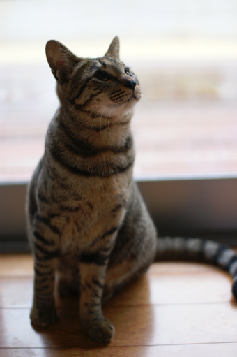 DSC03885.jpg