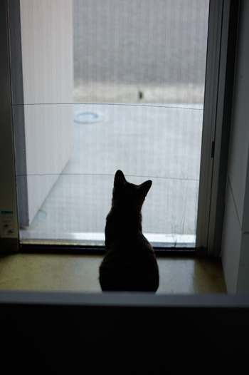 DSC04087.jpg
