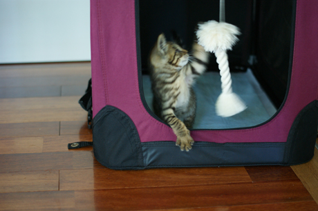 DSC06814.jpg