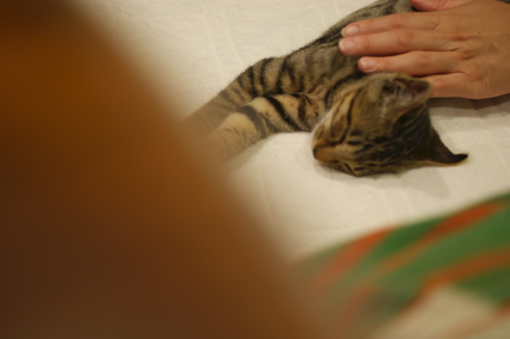 DSC07474.jpg