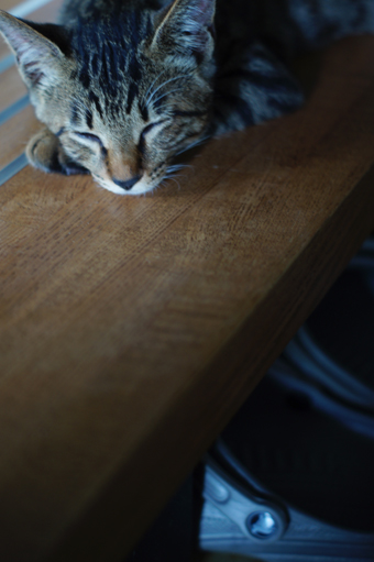 DSC07937.jpg