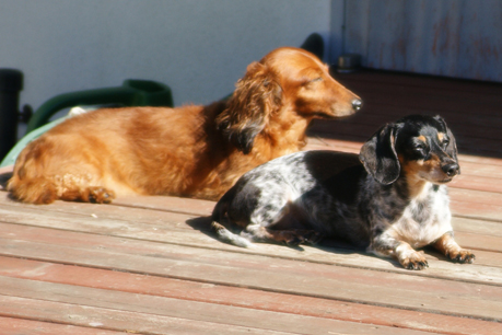 DSC08500.jpg