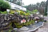 富士吉田(4)