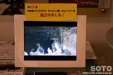 ほっと・はぼろ(海鳥センター3)