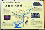 むかわ四季の館(4)