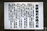 胎内(板額御前由緒の松 説明板)