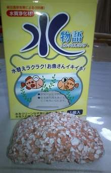 20120806金魚2