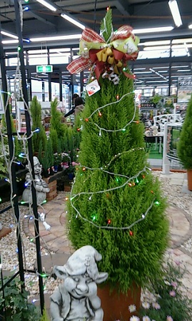 クリスマ