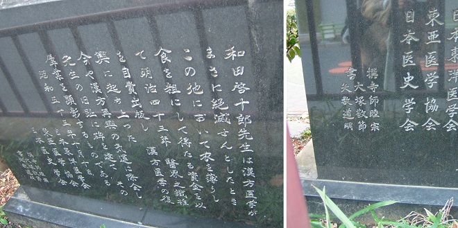 漢方医学復興之地 (2)