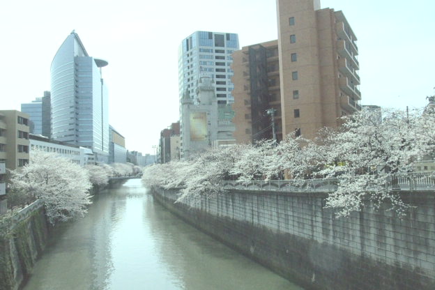 006_20130325184005.jpg