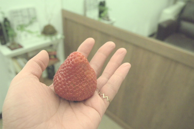 021_20130328115301.jpg