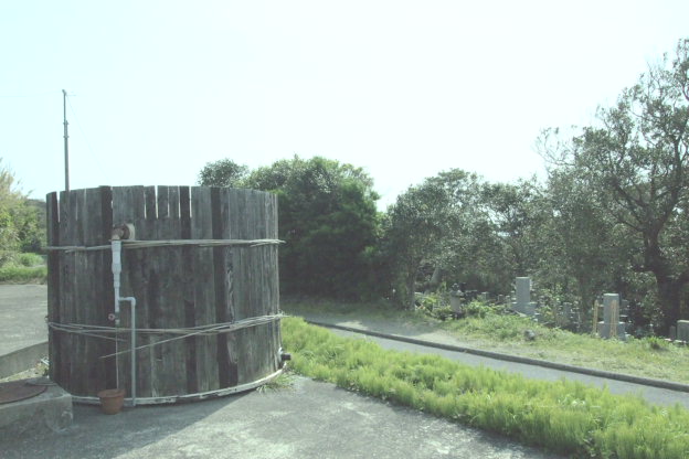 186.jpg