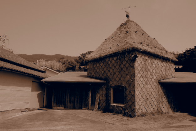 190.jpg