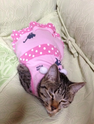 あず服1