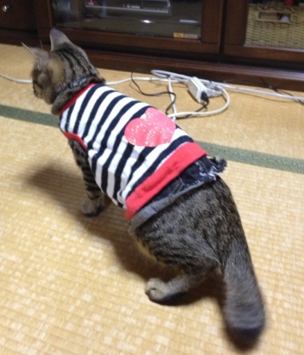 あず服2