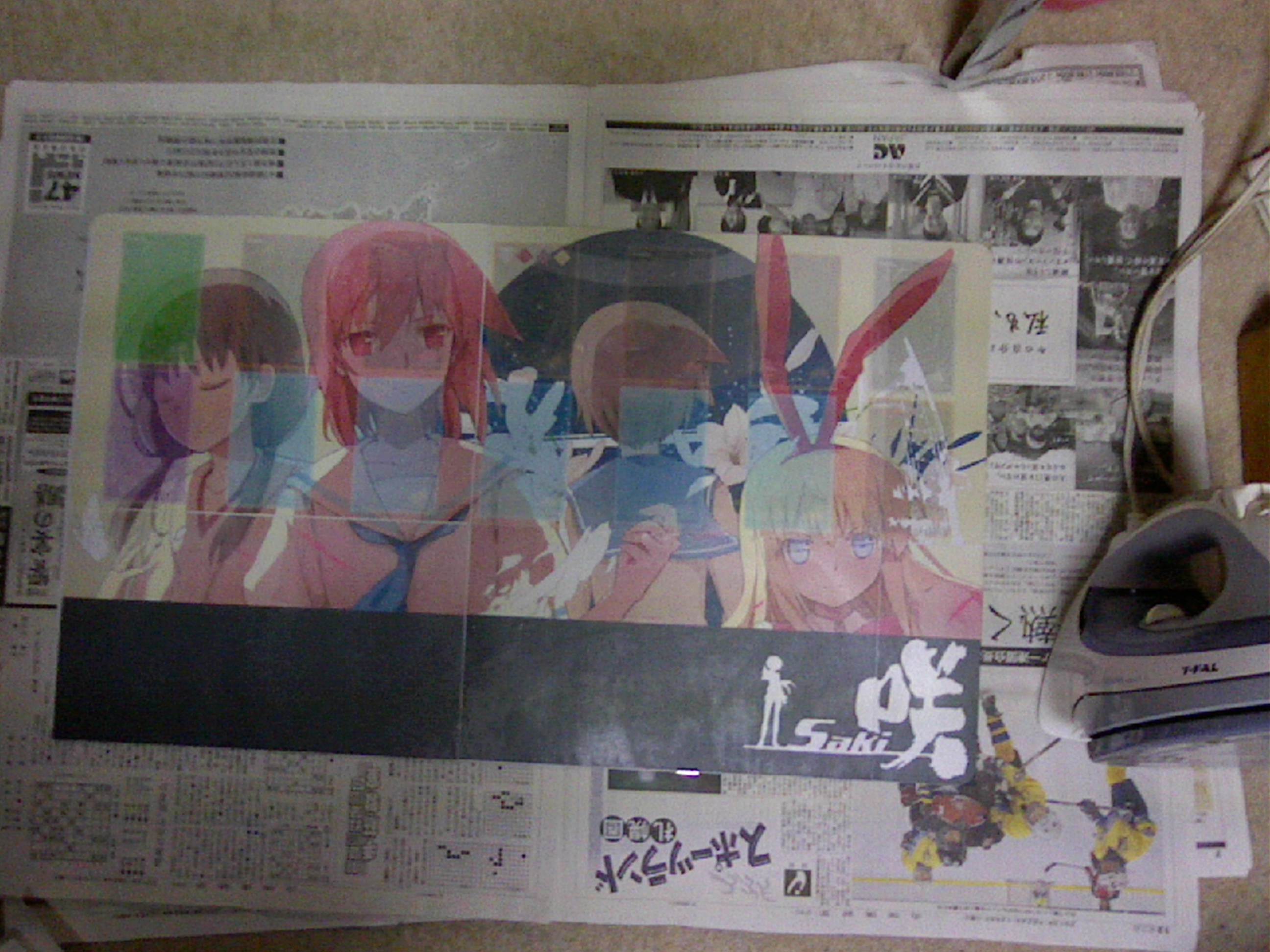 Picture 31_compressed