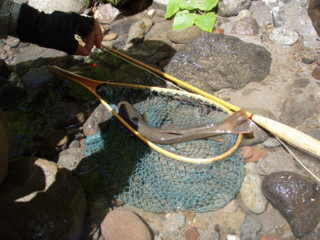 20120731_7