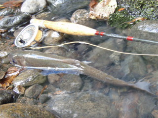 20120915iwana1