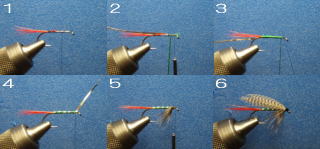 grizzlykingtying