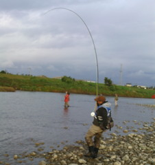 salmon_tedori