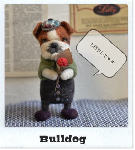 Bulldog.jpg