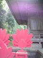 2012042816280001.jpg