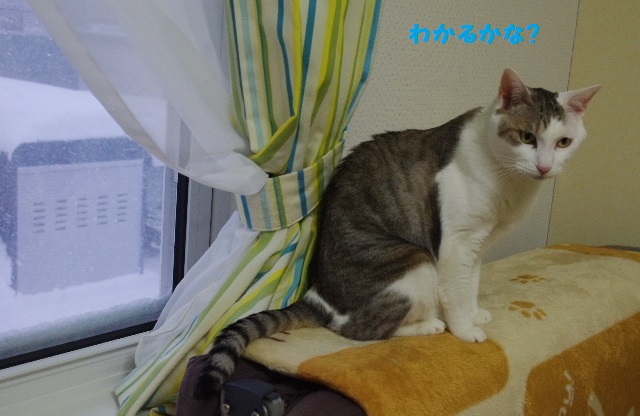 14IMGP5209.jpg