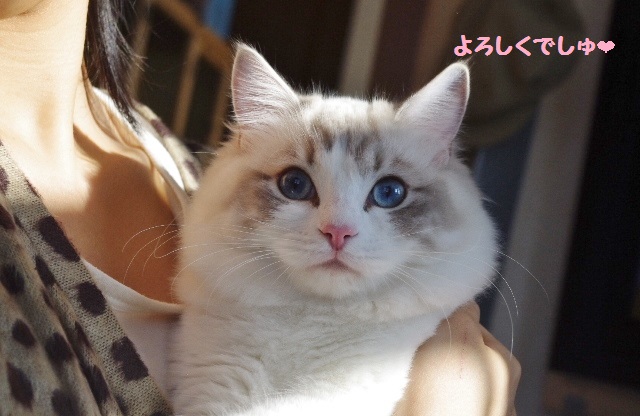パールIMGP5138