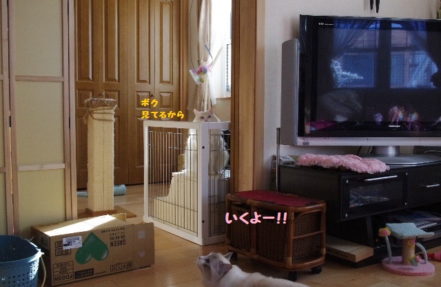 遊びIMGP7184