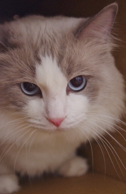 2014IMGP6539.jpg