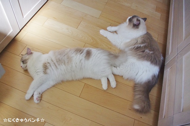 2014IMGP6794.jpg