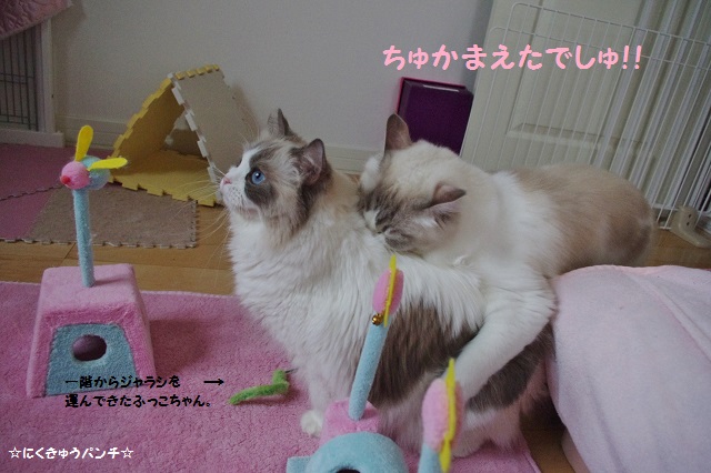 2014IMGP7022.jpg