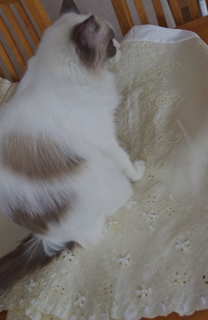 2014IMGP7086.jpg