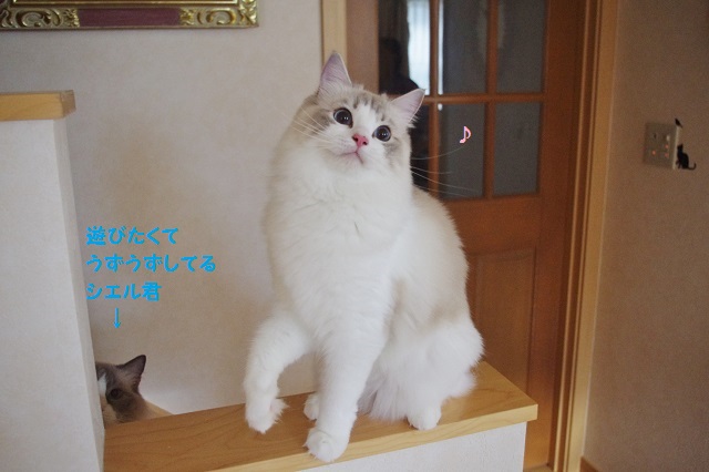 2014IMGP7180.jpg