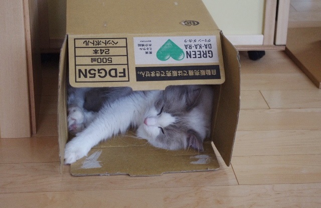 2014IMGP7476.jpg