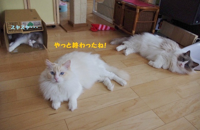 2014IMGP7494.jpg