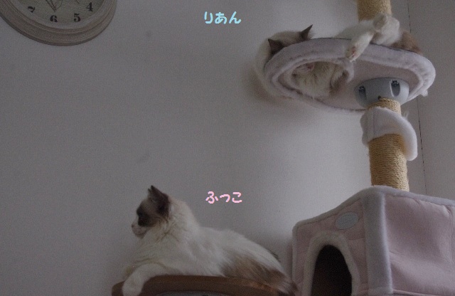 2014IMGP7578.jpg