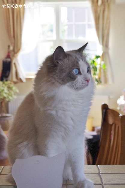 2014IMGP7636-1.jpg