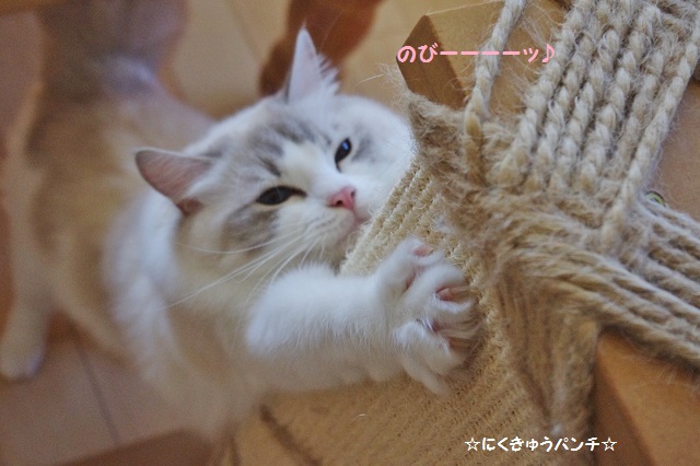 2014IMGP7639.jpg