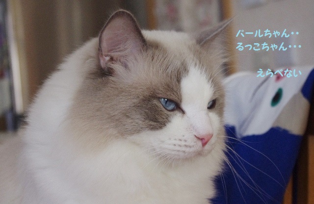 2014IMGP7746.jpg